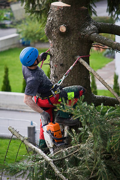 Mulching Services in Daphne, AL